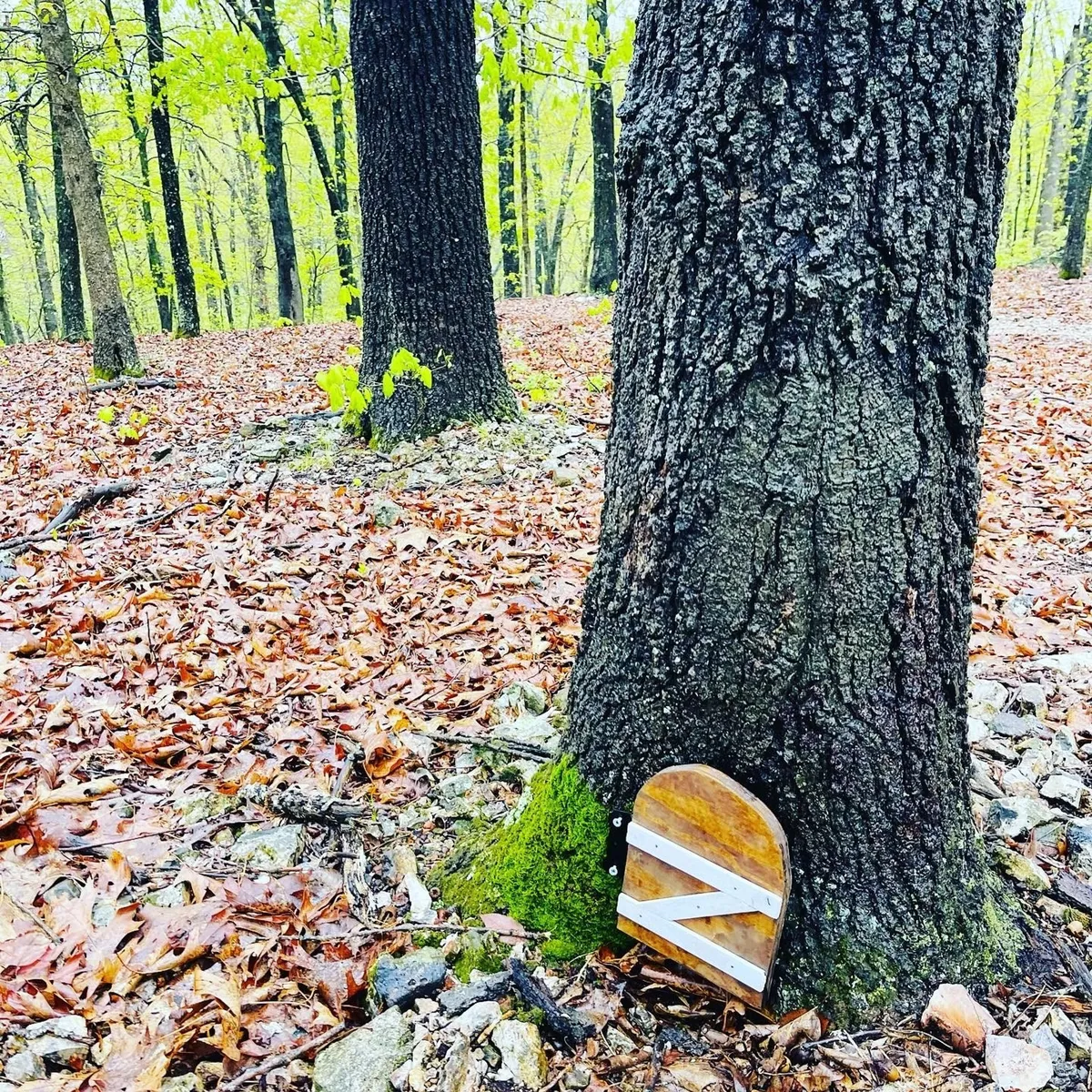 A whimsical woodland scene with a tree trunk featuring a small fairy door, surrounded by rocks and fallen leaves—suggesting imaginative play and discovery. The image exudes a sense of magic and adventure for kids.