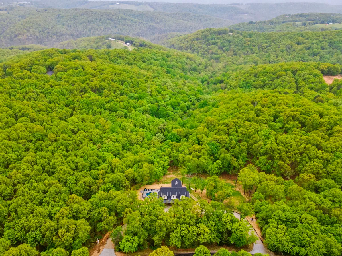 This exterior view captures the house nestled among surrounding trees and a welcoming driveway, inviting guests to explore the natural beauty right outside Cedarwood and embark on nearby adventures.